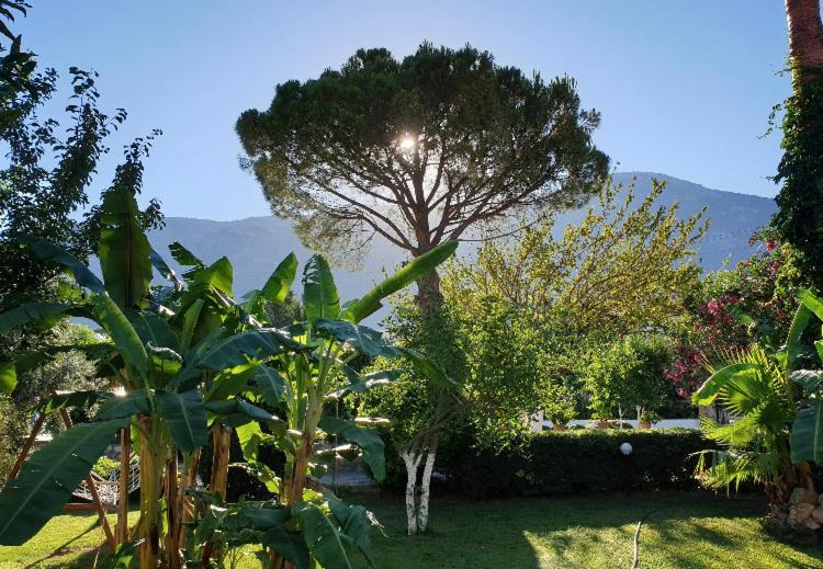 Gokcen Apartments Oludeniz Bagian luar foto