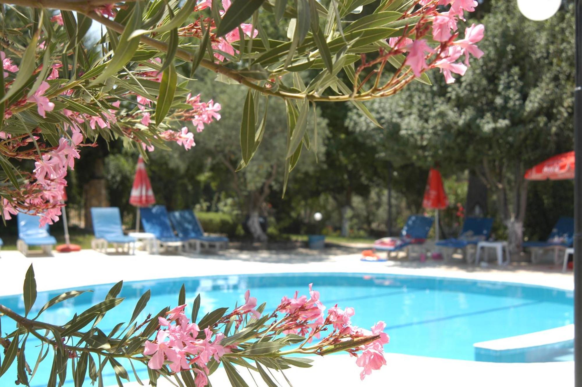 Gokcen Apartments Oludeniz Bagian luar foto